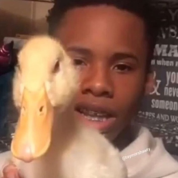 Meet your Posher, Kenneth - Picture 1 of 1